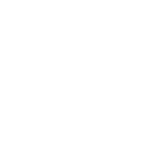 beluga diving